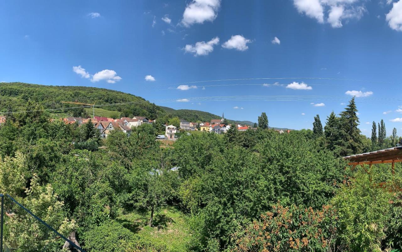 Ferienwohnung Zeit in Hambach Neustadt an der Weinstraße Exterior foto