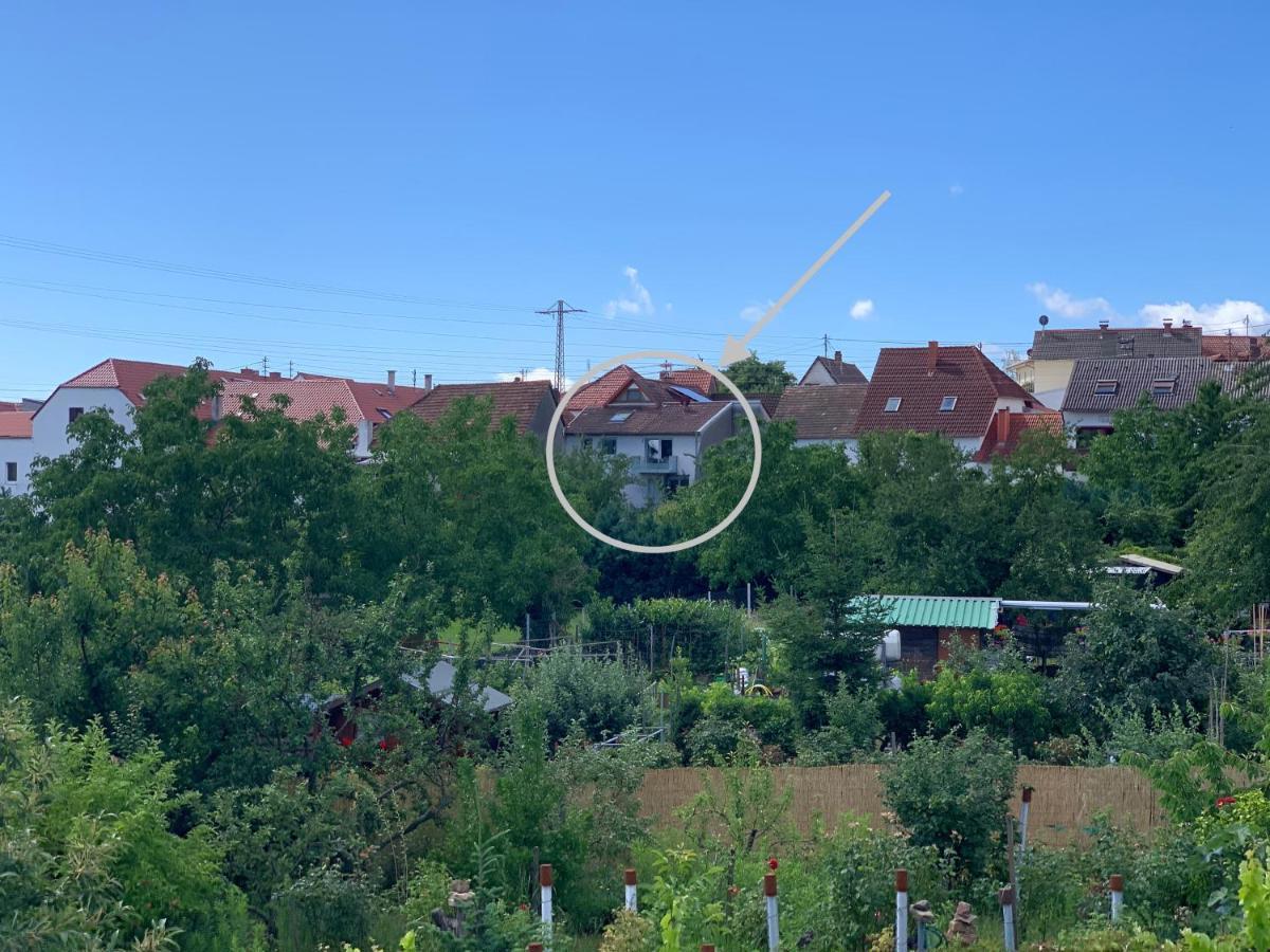 Ferienwohnung Zeit in Hambach Neustadt an der Weinstraße Exterior foto